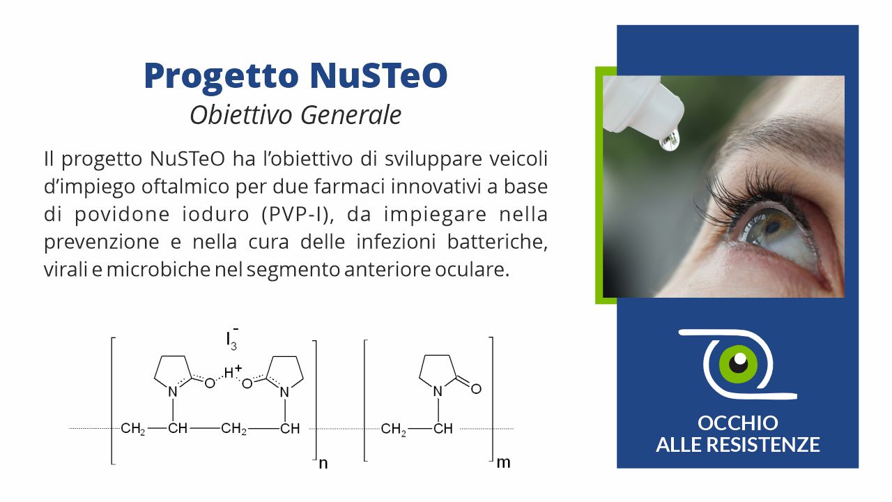 Nusteo - obiettivo generale del progetto