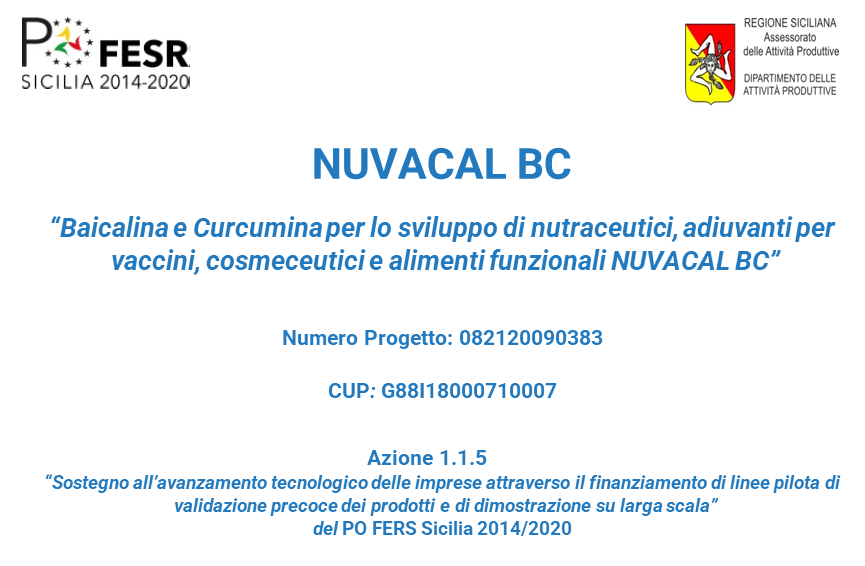 Nuvacal: Titolo progetto, Codice, CUP e Azione del PO FERS