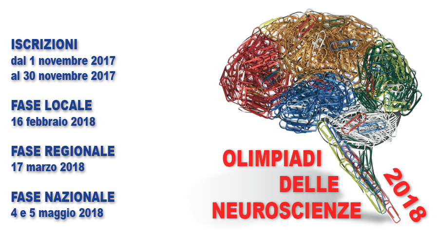 Vai al sito ISN -Olimpiadi neuroscienze 2018