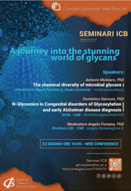 A journey into the stunning world of glycans