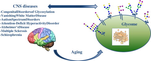 graphical abstract