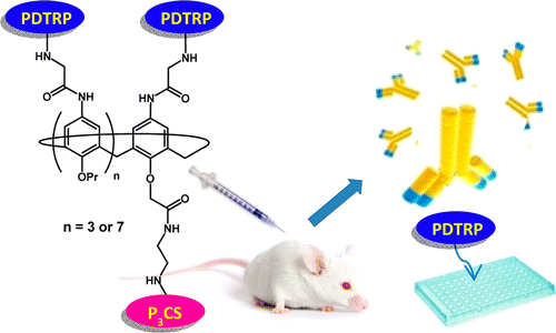 Graphical Abstract