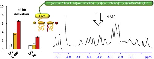 graphical abstract