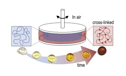 graphical abstract