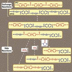 graphical abstract