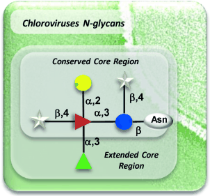 graphical abstract