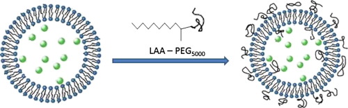 graphical abstract