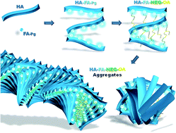 Figure:HA-FA-NEG-OA Aggregates