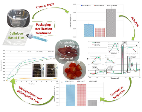 IPCB graphical abstract