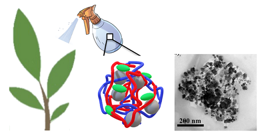 IPCB graphical abstract