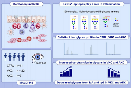 IPCB graphical abstract