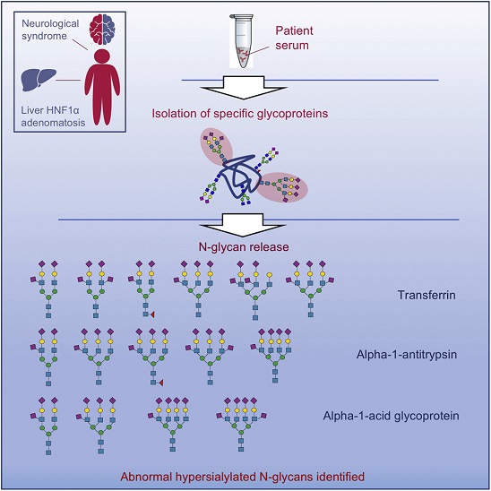 IPCB graphical abstract