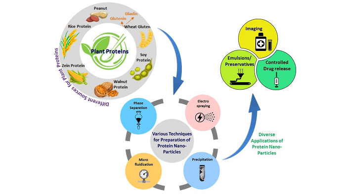 IPCB graphical abstract