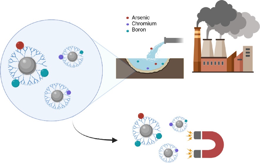 IPCB graphical abstract