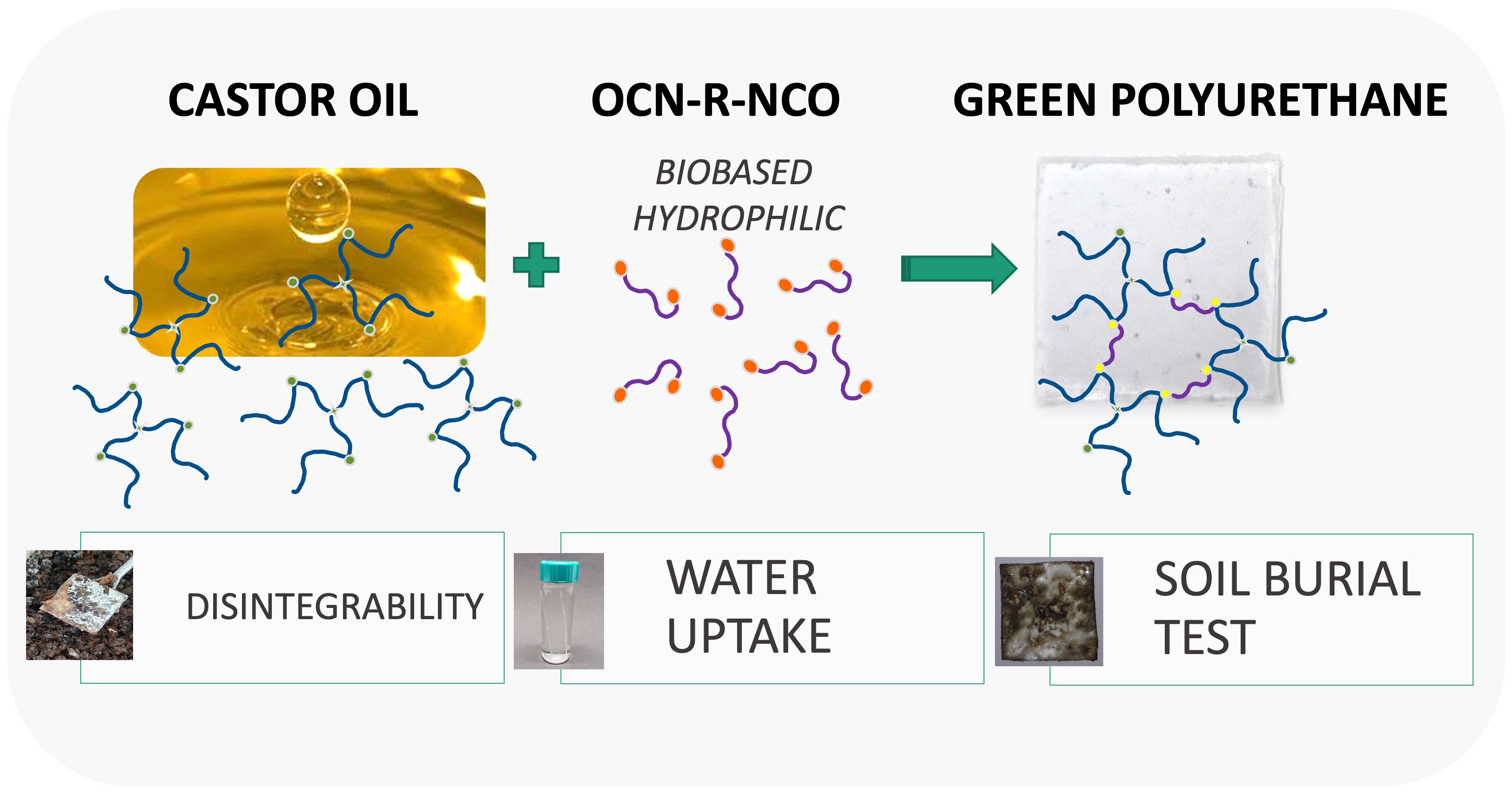 IPCB graphical abstract