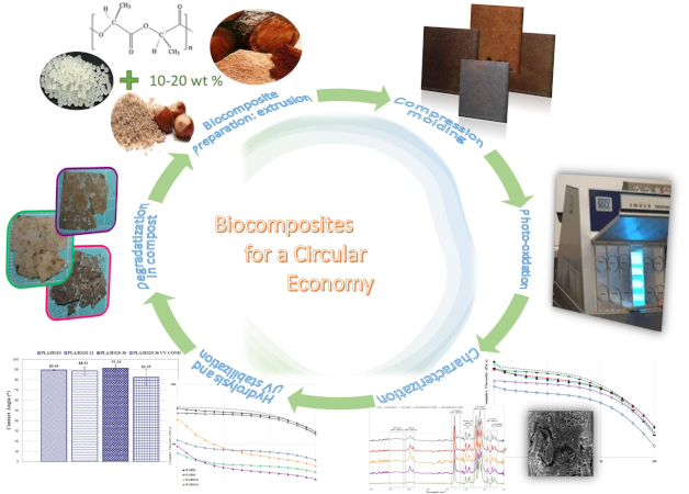 IPCB graphical abstract