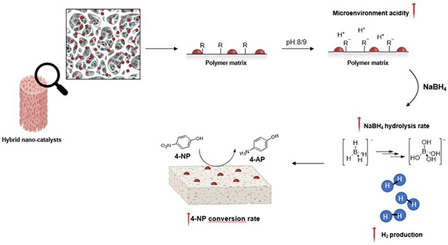 IPCB graphical abstract