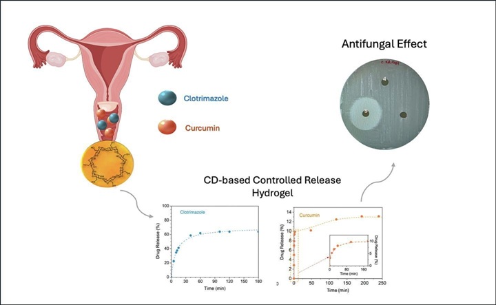 IPCB graphical abstract