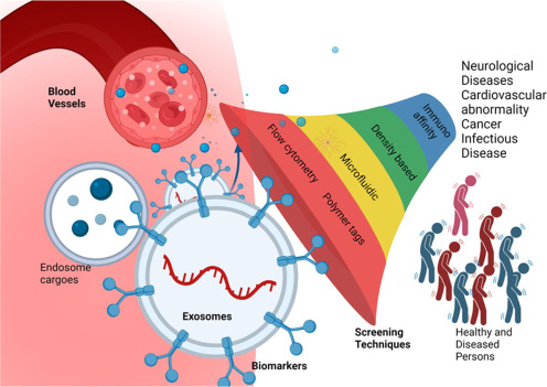 IPCB graphical abstract