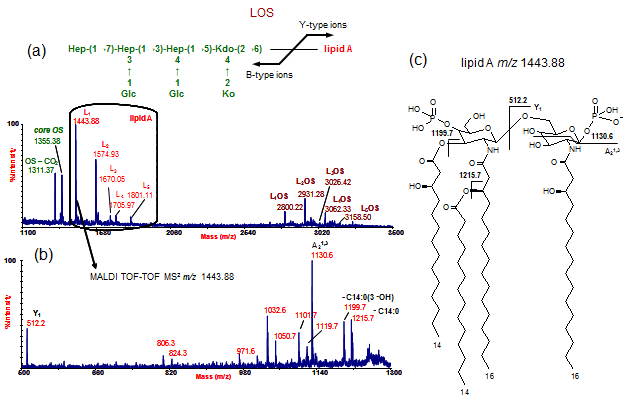 image:Characterization of lipopolysaccharides