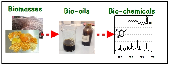 image: biomasses