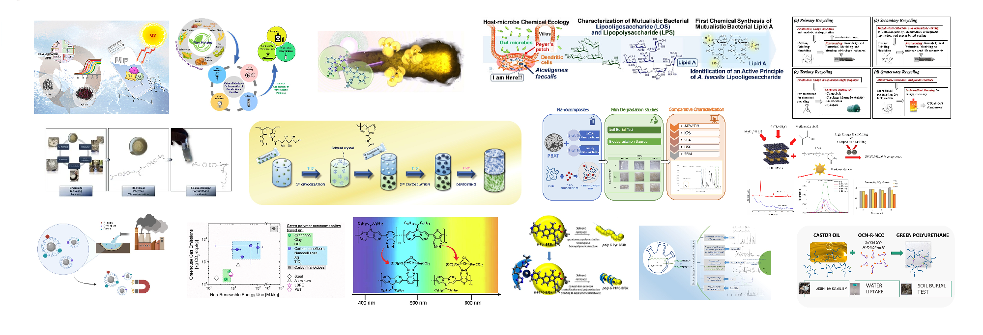 Last 15  graphical abstract of IPCB publications