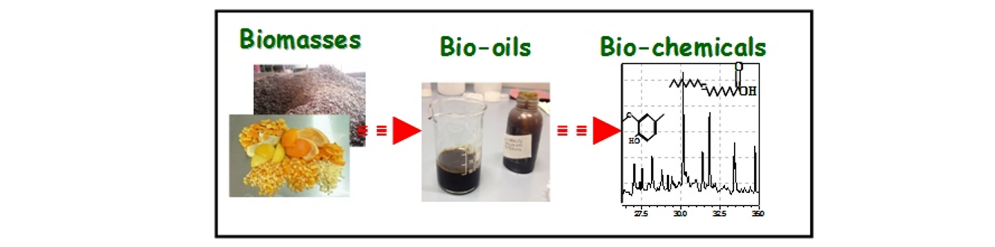IPCB Catania Research: Chemicals from  agro-industrial waste