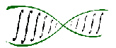 Facoltà di Scienze logo