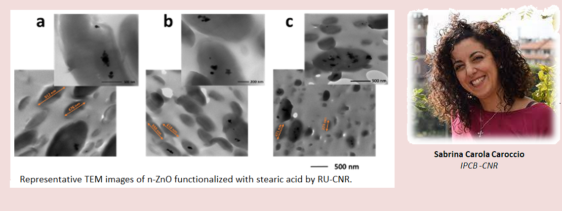 CLEAN - Valorizing Sustainable Plastics through a CLEver use of NANoparticles