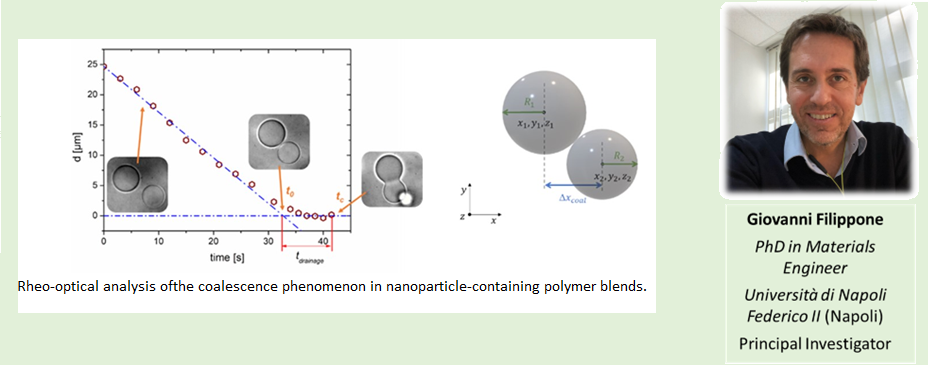 CLEAN - Valorizing Sustainable Plastics through a CLEver use of NANoparticles