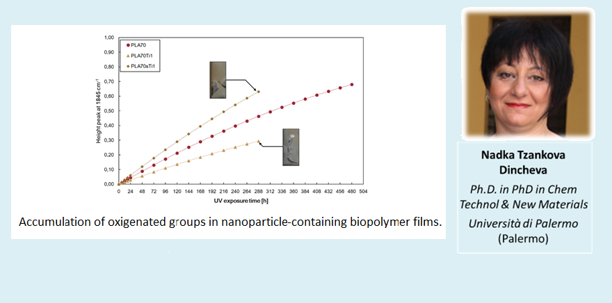 CLEAN - Valorizing Sustainable Plastics through a CLEver use of NANoparticles