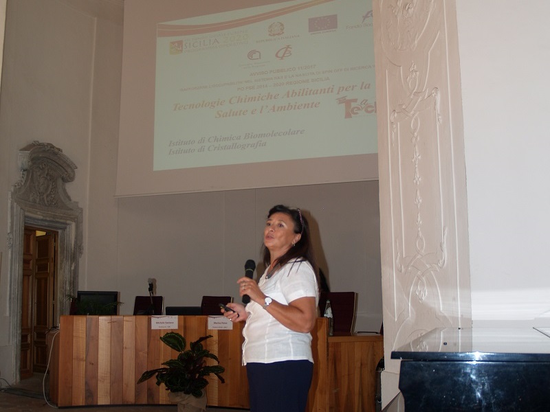 Workshop conclusivo