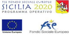 Il programma Ã¨ stato cofinanziato dal Fondo Sociale Europeo